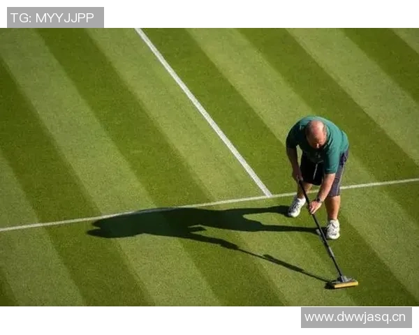 网球运动的历史演变与发展趋势分析:从草地到硬地场的全球化进程 网球运动的历史演变与发展趋势分析:从草地到硬地场的全球化进程